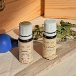Flacons d'huiles essentielles et compte-gouttes pour conseils personnalisés en aromathérapie